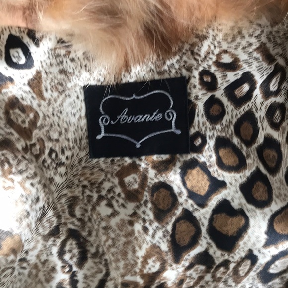 AVANTE Raccoon Walker Collared/hoodie Vest - Picture 3 of 5